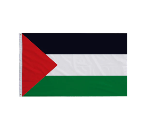Large Palestine Flag